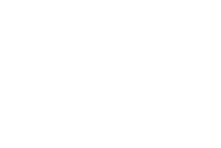 Salt & Fire